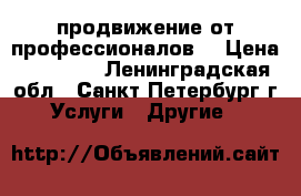 SEO-продвижение от профессионалов! › Цена ­ 10 000 - Ленинградская обл., Санкт-Петербург г. Услуги » Другие   